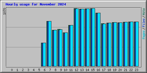 Hourly usage for November 2024